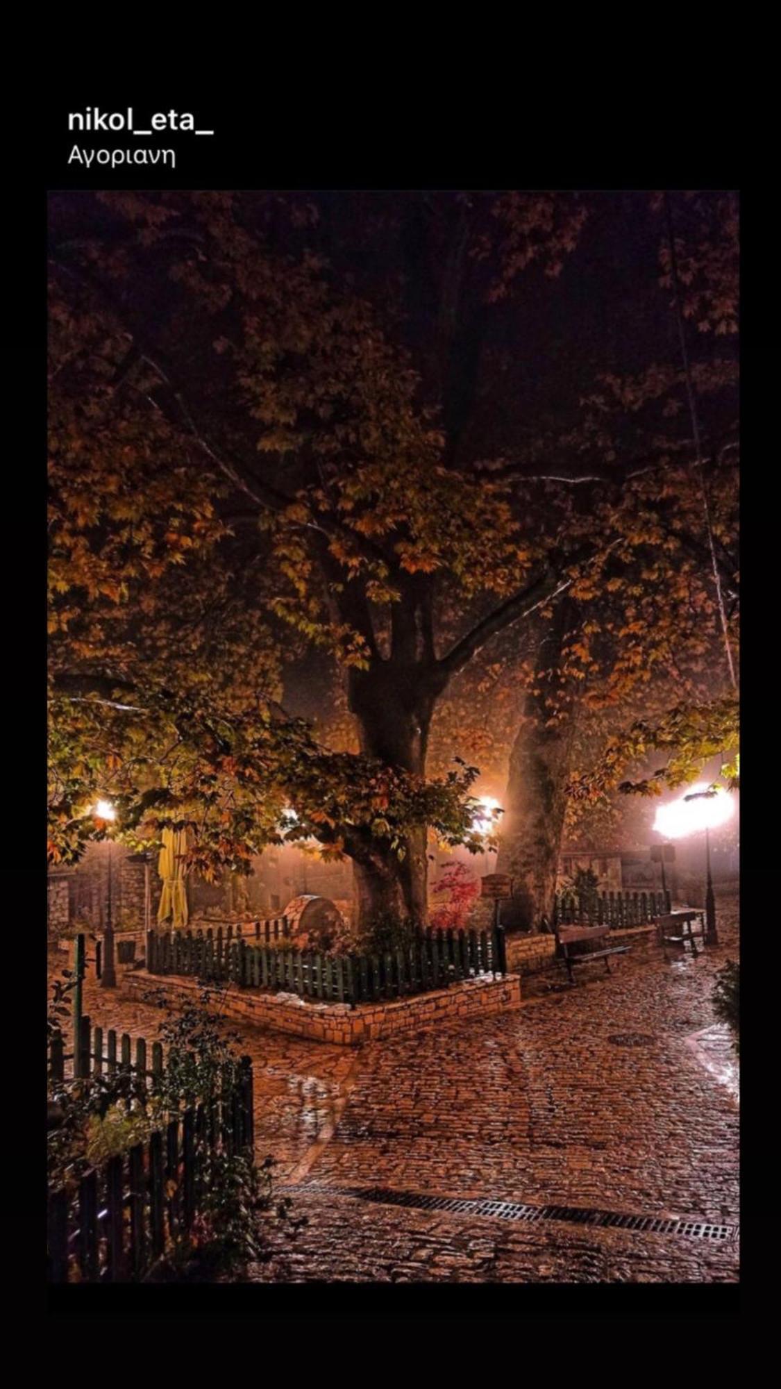 Asimina Guesthouse, Eptalofos Parnassos Экстерьер фото