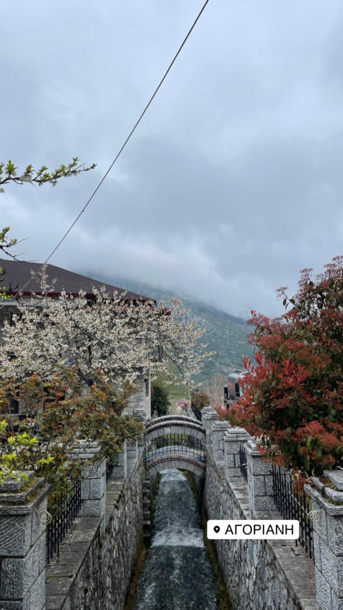 Asimina Guesthouse, Eptalofos Parnassos Экстерьер фото