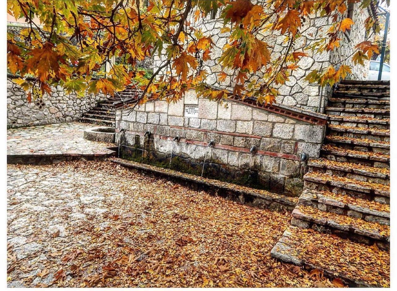 Asimina Guesthouse, Eptalofos Parnassos Экстерьер фото