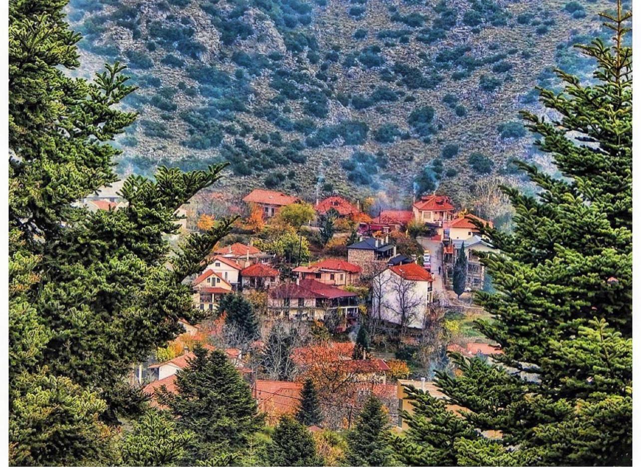 Asimina Guesthouse, Eptalofos Parnassos Экстерьер фото