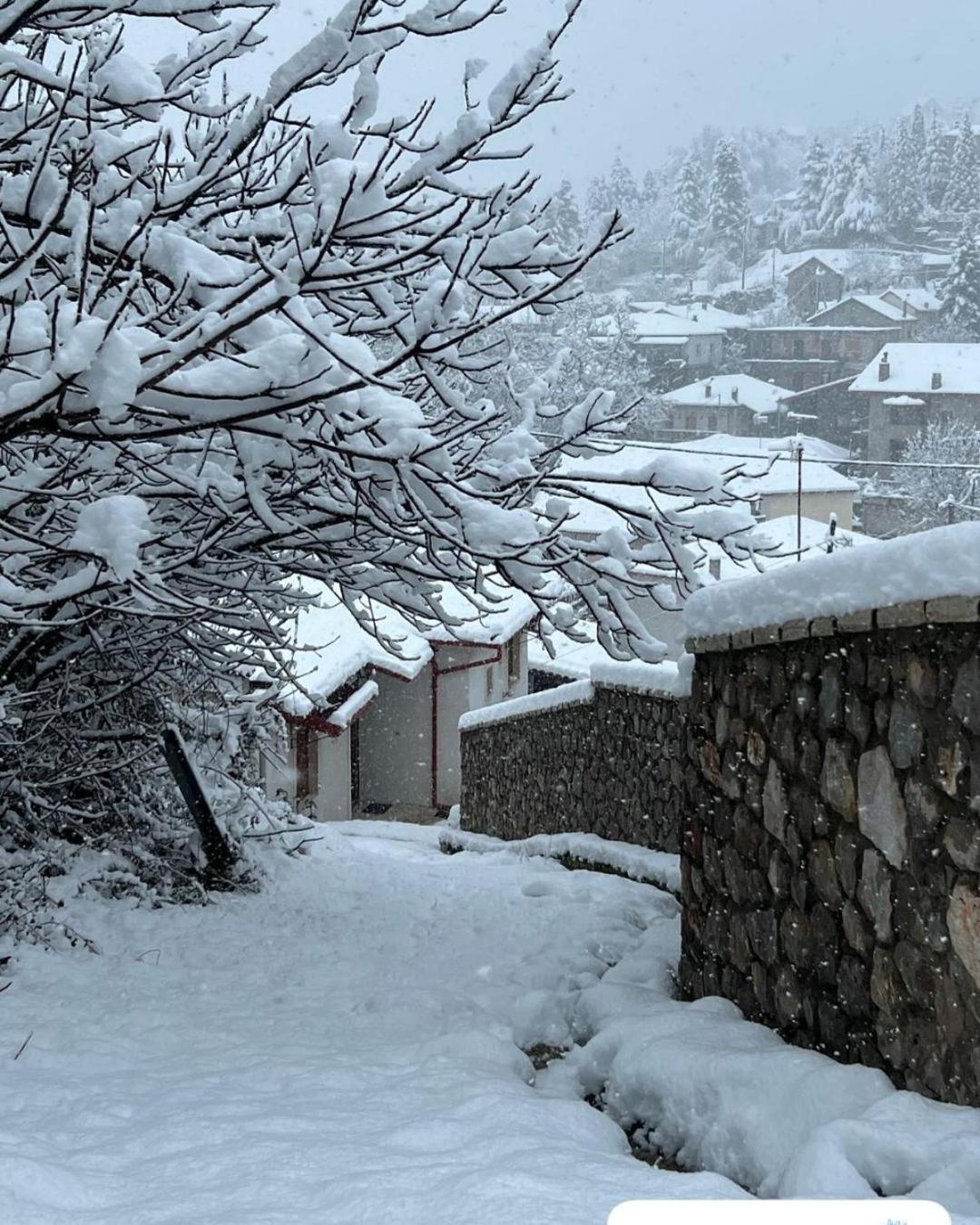 Asimina Guesthouse, Eptalofos Parnassos Экстерьер фото